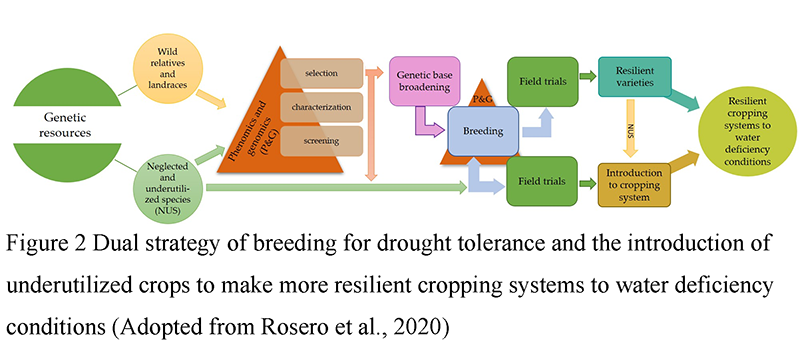 Improving Soybean Breeding Efficiency Using Marker-Assisted Selection ...