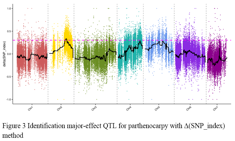 Genetic Analysis and QTL Mapping of Parthenocarpy in Cucumis sativus L ...