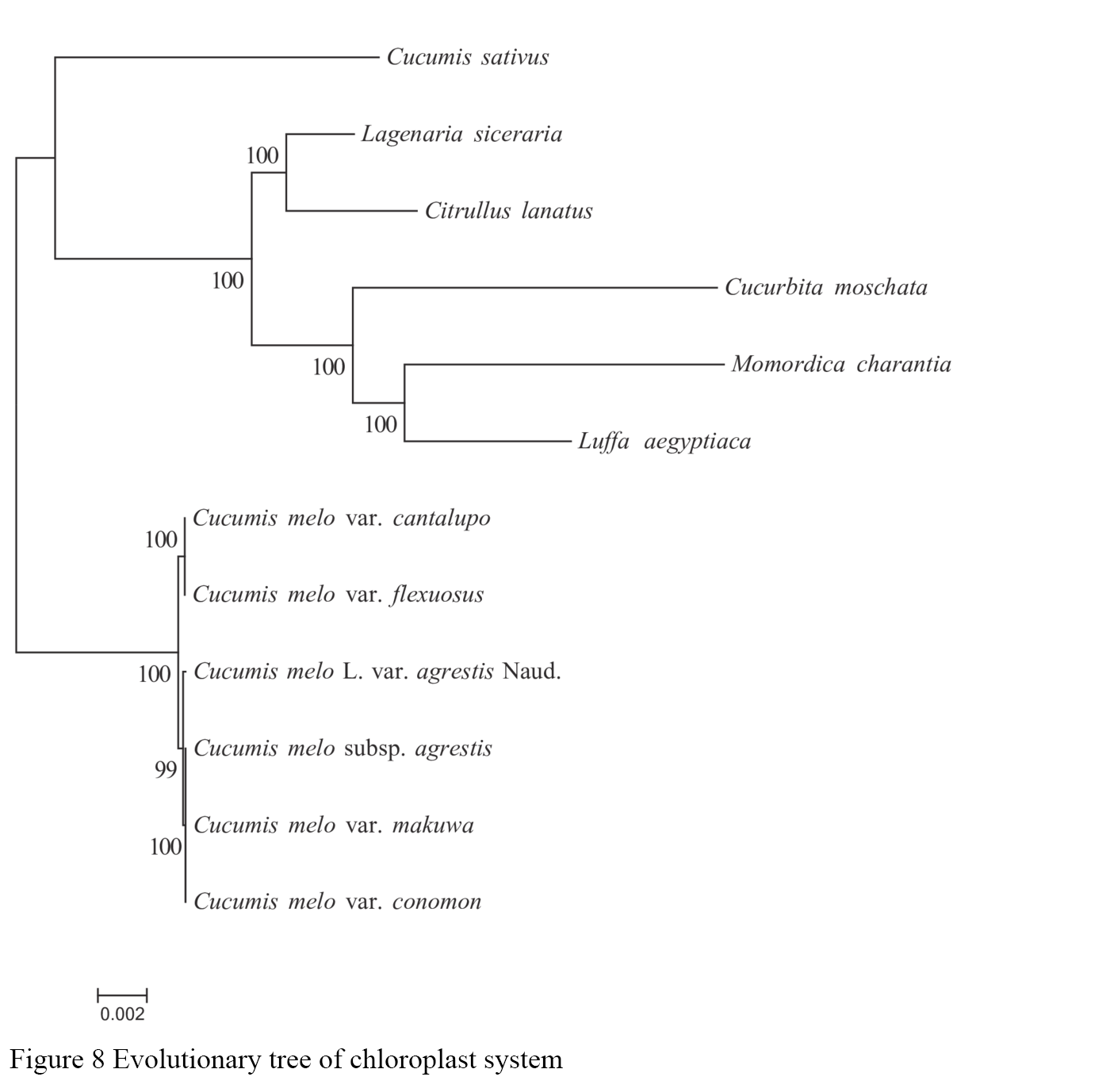 Sequencing of Chloroplast Genome of Cucumis melo L. var. agrestis 